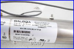 Balboa Water Group 58104 Black Stainless Steel Heater M7 VS Replacement Assembly