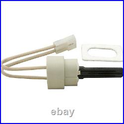 Igniter, Pentair Max-E-Therm/MasterTemp, with Gasket