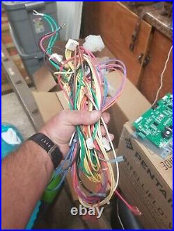 PENTAIR MASTERTEMP 400 complete replacement wiring harness