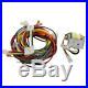 Pentair 42001-0104S Wiring Harness for Max-E-Therm/MasterTemp Heater