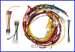 Pentair 461107 Wire Harness Replacement Assembly for Mastertemp and Max-E-Therm