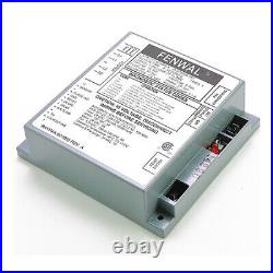 Raypak 009057F Ignition Control Board, 120V