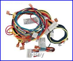 Raypak 009490F Models 206B-406B Wire Harness Electronic Ignition Heater