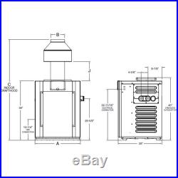 Raypak 010201 ASME Cupro-Nickel Natural Gas 399k BTU Pool Heater