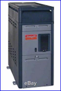 Raypak 014784 150000 BTU Natural Gas Heater