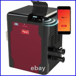 Raypak AVIA P-R404A-EN-C Natural Gas Pool Heater 018033