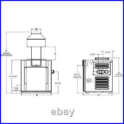 Raypak Digital Low NOx Natural Gas 399000 BTU Pool Heater (009243)