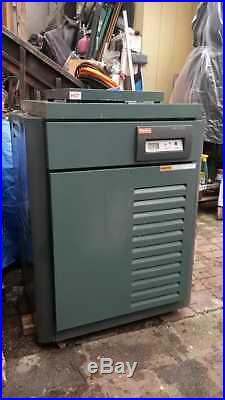 Raypak Rp2100 Digital 399K BTU Natural Gas Pool Heater